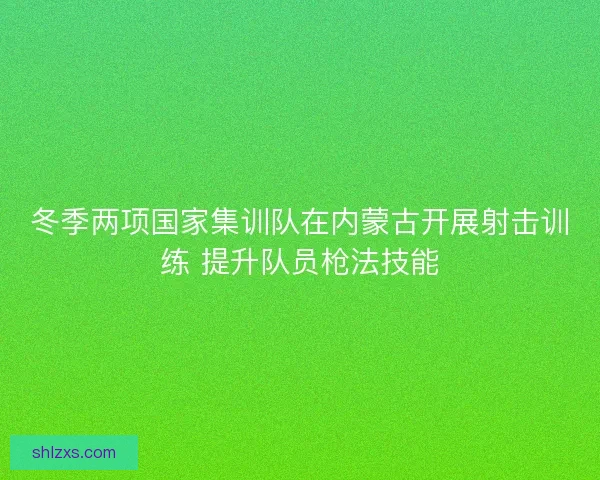 冬季两项国家集训队在内蒙古开展射击训练 提升队员枪法技能
