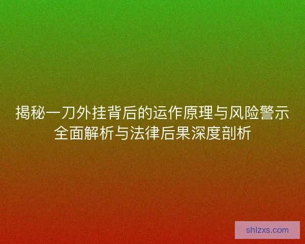 揭秘一刀外挂背后的运作原理与风险警示全面解析与法律后果深度剖析